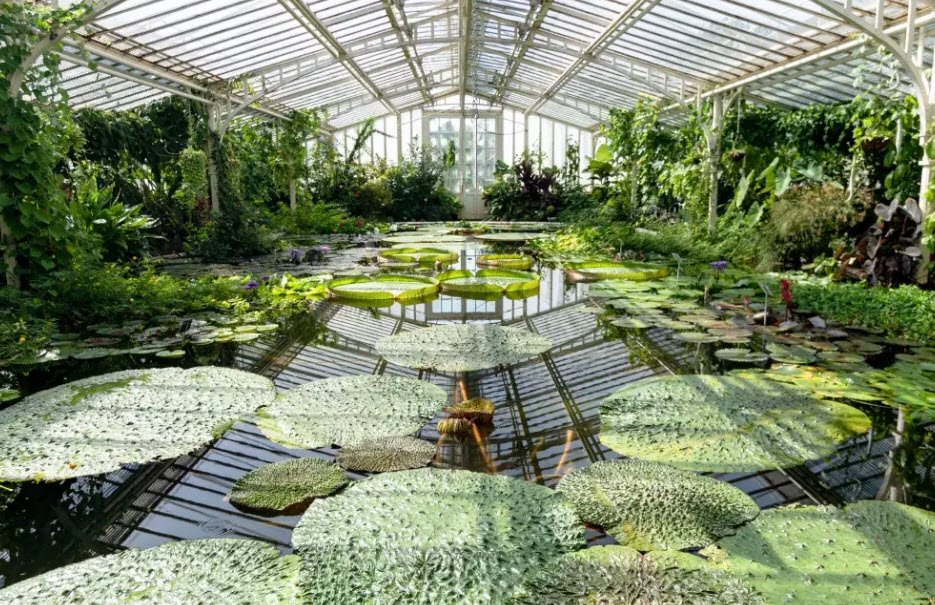 Botanical Garden Munich-Nymphenburg, Germany